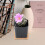 6 Unidades De Bandejas Para De Plantas De 10