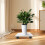 Móvel Para Plantas Com Suporte Base Plástico 6