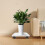 Móvel Para Plantas Com Suporte Base Plástico 5