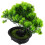 5St Künstliche Bonsai- Topfpflanze Für Desktop 3