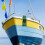 Ship Müllbeutel Seaside 64 X 26 X 1 Cm Grün 6