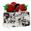 Artificial Com Para Decoração De Vitrine 9
