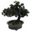 Árvore De Bonsai Artificial De Vaso Mini Para Escritório 5