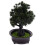 Árvore De Bonsai Artificial De Vaso Mini Para Escritório 11