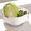 Kitchen Fruit Strainer Pet 2pack 5