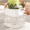 Kitchen Fruit Strainer Pet 2pack 4