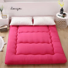 Full Size Futon Mattress Japanese Floor Mat Foldable Guest Sleeping Mat 200x220 cm Model I