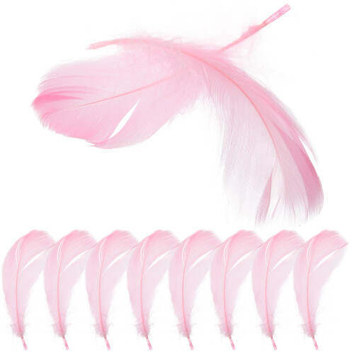 60 Feder-Props Schmuck-Display Für Kosmetik-Vanity 2