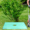 Gartenbaum-Schnitt-Tarp 200 X 200 Cm Mit 30 Cm Mittelloch 4