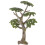 Decoração Simulação Paisagem Árvore Layout 6