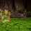 Pasto Artificial Césped De Falso Para Decoración Exterior 5