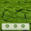 Pasto Artificial Césped De Falso Para Decoración Exterior 11