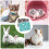12 Wasbare Cavia Kooiliners Huisdier Trainingspads 5