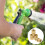 4St Tuinslangverbinder Messing, Los Te Koppelen En Robuust 4