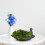 1Pc Fine Crafted Coffee Ceramic Bonsai Pot Hydroponic Plant Container 10