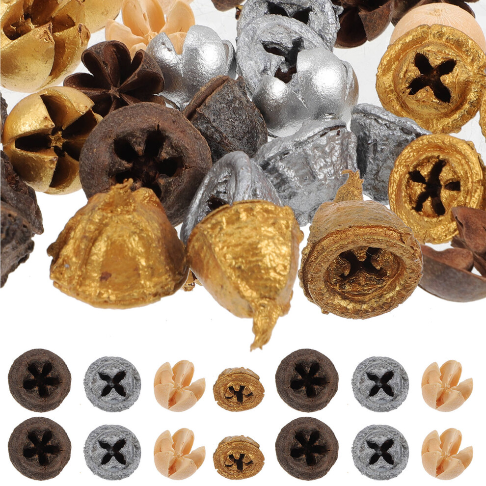 35 Sztuk Suszonych OwocóW Eukaliptusa Do Dekoracji I Sesji ZdjęCiowych-image