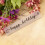 Embossing Mal Beige 1 Pack 5,9 X 1,2 X 0,2 Inch 3