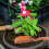 10 Palette Per Sabbia E Giardino 3