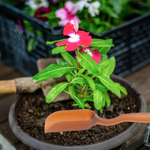 10 Palette Per Sabbia E Giardino 2