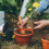 10 Palette Per Sabbia E Giardino 4