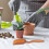 10 Palette Per Sabbia E Giardino 6