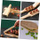 Plum Fruit Clipper Walnut Opener Nutcracker Nuts Pressing Tool Manual Handheld Kitchen Tool Easy To Use 5