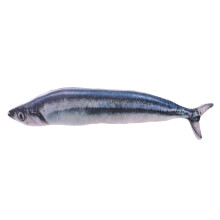 2Stück Fischförmige Wurfkissen 20cm Plüsch Saury Wohnaccessoire