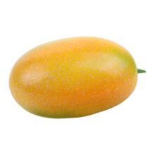 Simulation Melone Künstliche