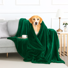 (Green Emerald) Soft Fleece Dog Blanket – 130x150cm Warm Reversible Pet Throw for Dogs & Cats – Ultra Cozy Anti-Pill Fleece Pet Blanket