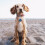 Pet Identificatie Tags Rvs Kat En Hond 7