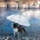 Dog Umbrella,Scalable Umbrella Waterproof Transparent PVC C-Shape 2
