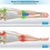 Orthopedic Pillow For Sciatica Relief (blue) 3