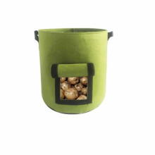 1St Süßkartoffel Pflanzsack Vliesstoff Größe L 38 Liter Grün