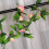 2Stk Künstliche Gewölbte Rand Rose Für (Dunkelrosa) 6