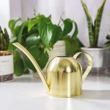 Gießkanne aus Edelstahl, kleine Gießkanne mit langer Öffnung für Zuhause, drinnen, draußen, Garten, Sukkulenten, 500 ml (Gold)