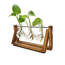 Pflanzen-Terrarium, Luftpflanzen-Zwiebelvase aus Glas mit drehbarem Metallhalter im Retro-Stil für Hydrokultur, Haus, Garten oder Büro