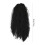 Prevalent Lockig Perücke Afro Kinky Schwarzes Haaraccessoire 2