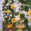 1St Simulation Sonnenblumen Künstliche Aus Rattan 8