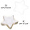 6Stk. Teller Set Speichelbein Snack Schalen Mit 11