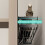 Over-the-Door Metal Storage Rack with 5 Hooks 4