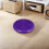 Inflatable Stabiliteits Wobble Extra Dikke Core Paars 6