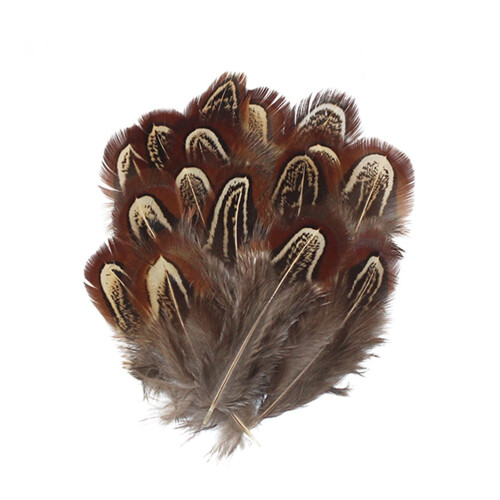 100 Stuks Pheasant Mao Handgemaakt 4-8 Cm