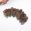 100 Stuks Pheasant Mao Handgemaakt 4-8 Cm 5