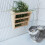 Rabbit Grass Voederrek Hooiframe Konijnen 5