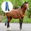 Protector De Para Caballo Bolsa Granja 6