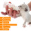 4Pcs 50Ml Mamadeira Para Animais De Estimação 5