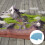 Foam Board Escena Manualidades Diorama Material Espuma 6