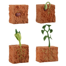 Green Bean Growth Cycle Model Educational Plant Life Cycle Kit For Home Science Kids Toys Plastic Size 6x4x3 Cm