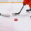 Puck En Pour Entraînement Extérieur Intérieur Hockey 4