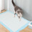 20 Pièces Couches Pour Animaux, D'Apprentissage, Taille S 9